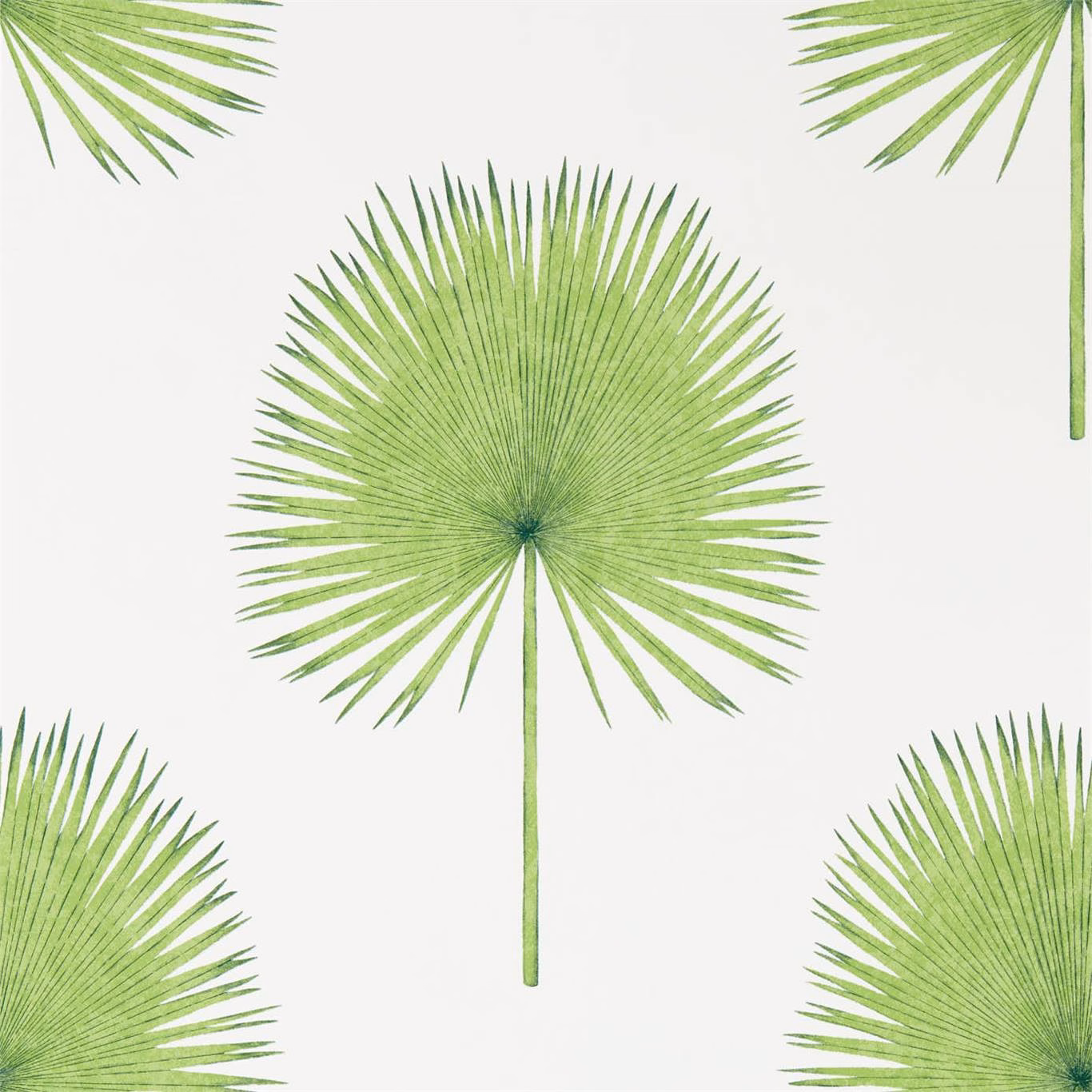 Обои Sanderson The Glasshouse Fan Palm 216636
